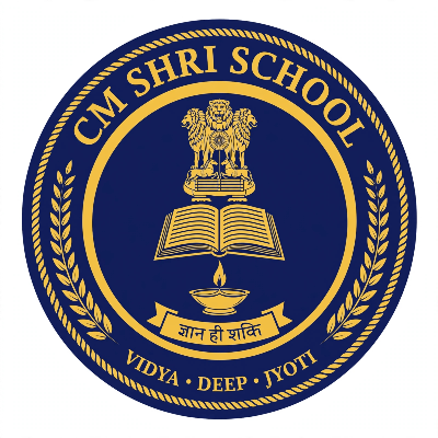 CM SHRI SCHOOL SECTOR EIGHT ROHINI